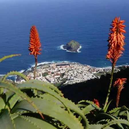 Playa San Marcos Apartmán *