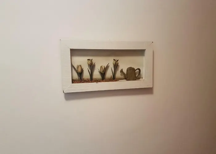 Apartment Playa San Marcos *